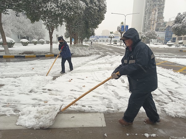 2024年1月15日，行政保衛部組織人員在各主干道、人行道進行掃雪.jpg
