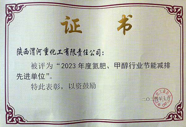 2024年7月重化工公司獲得氮肥協會頒發的節能減排先進單位.jpg